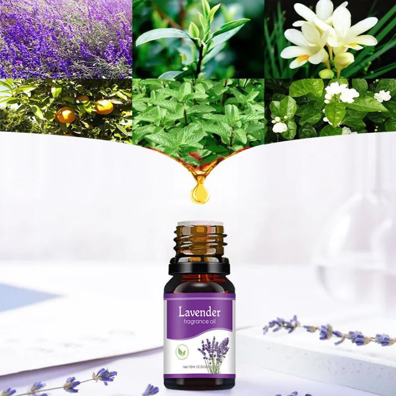 Nimbora Flavour Scent's