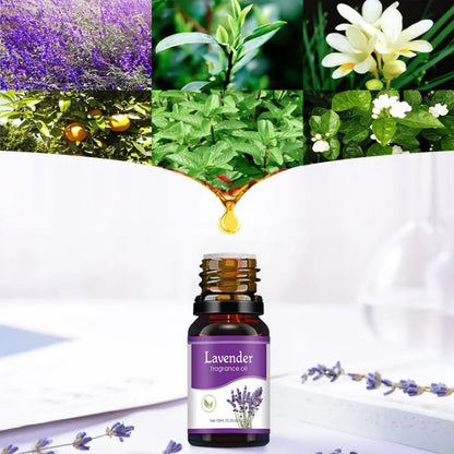 Nimbora Flavour Scent's